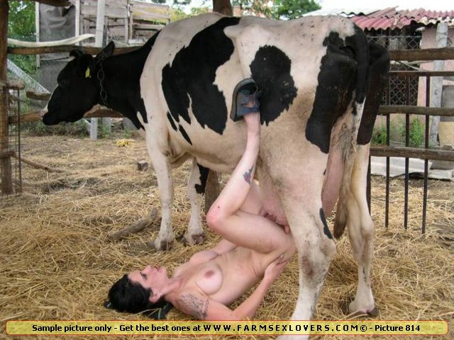 640px x 480px - Animal Extreme Sex Porn :: Sexy slut inserts cow udder in her bold pussy