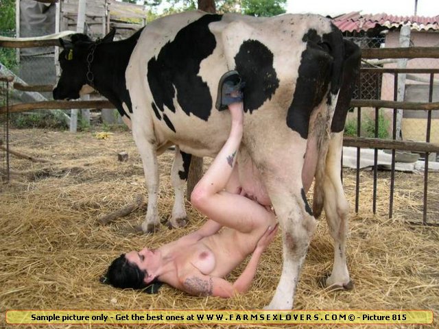 Www Xbraz Cow - Animal Extreme Sex Porn :: Sexy slut inserts cow udder in her bold pussy