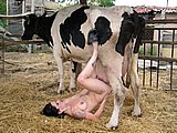 bestiality sex pic