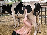 animal sex pic