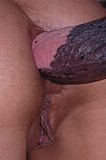 bestiality sex pic