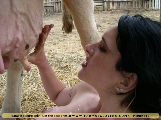 Animal Extreme Sex Porn :: Sexy farm slut sucking cow udder for warm milk