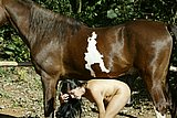 dog sex jpg
