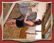 zoo sex pic