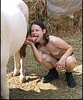 horse sex pic