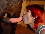 animal sex pic