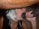 horse sex pic