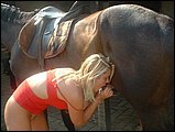 horse sex pic