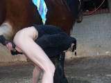 animal sex pic