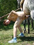 animal sex pic