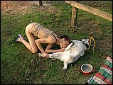 dog sex pic