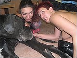animal sex jpg