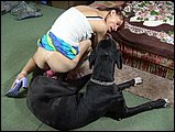 dog sex pic