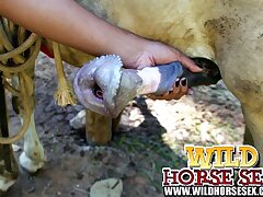 Cute girl sucking huge horse dick until for cum