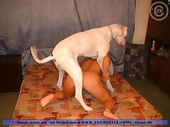 Monika babe gets deep doglove in her ass tonight