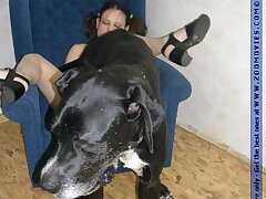 Amateur housewife getting fucked by a horny dog