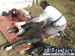 Amateur teen getting fucked by a horny dog cock