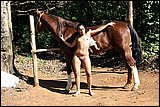 beast sex jpg