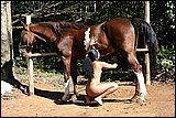 zoo sex pic