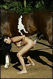zoo sex pic