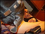 animal sex pic