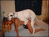 bestiality sex pic