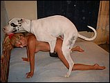 dog sex pic