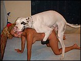 animal sex jpg