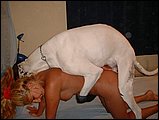 zoo sex pic