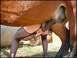 animal sex jpg