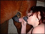 zoo sex pic